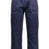 GANT BLUE PANTS
